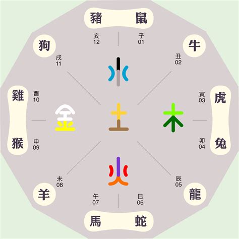 子五行属什么